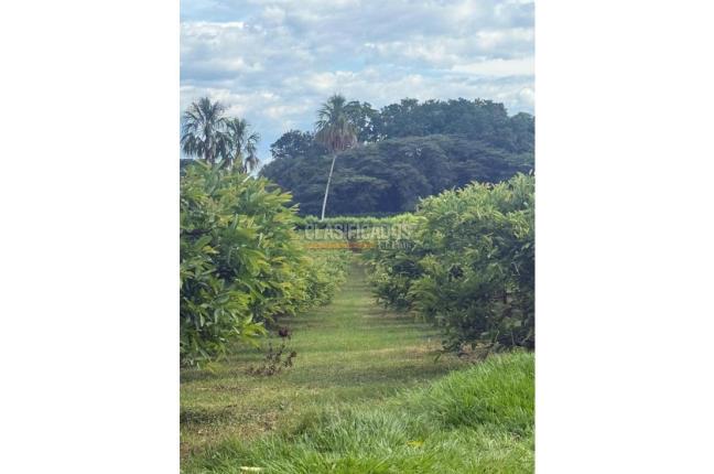 Fincas y Casas Campestres, Venta en La Unión