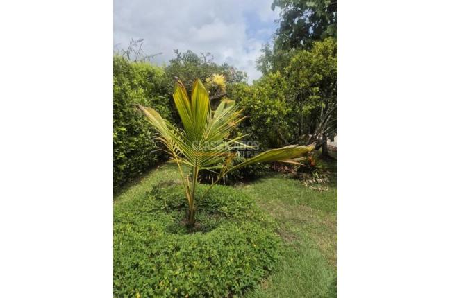 Fincas y Casas Campestres, Venta, Dagua - $390.000.000