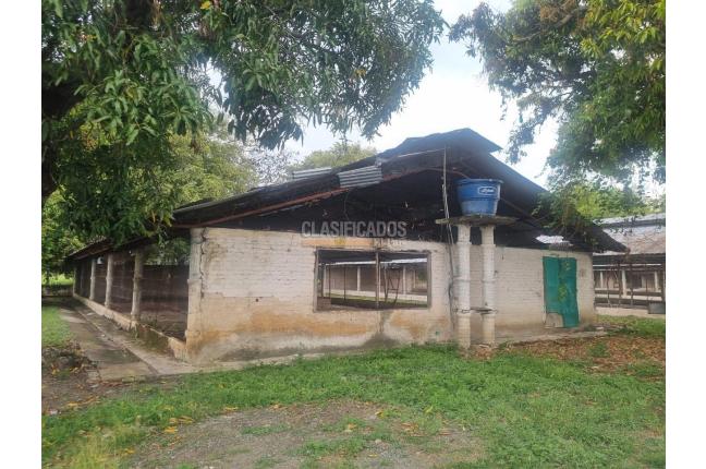 Fincas y Casas Campestres, Alquiler, Guacarí - $7.200.000