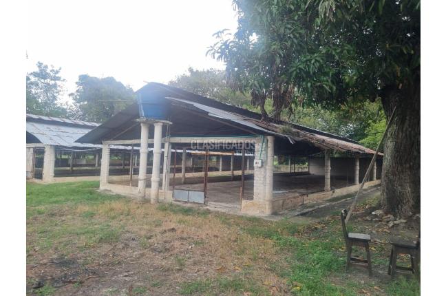 Fincas y Casas Campestres, Alquiler en Guacarí