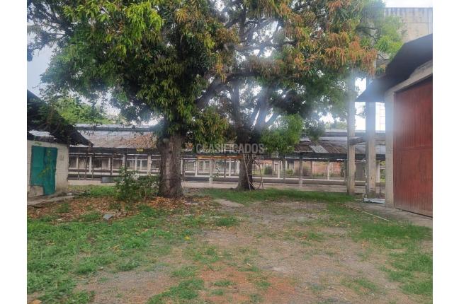 Fincas y Casas Campestres, Alquiler, Guacarí - $7.200.000