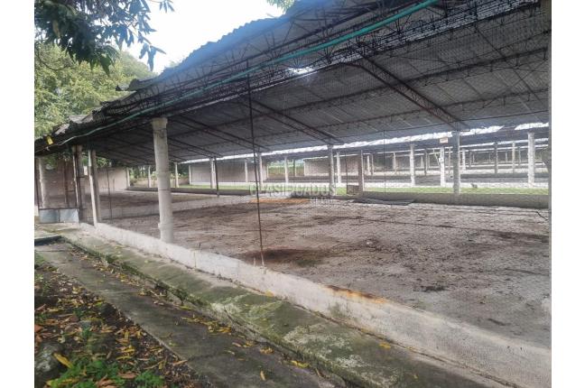 Fincas y Casas Campestres, Alquiler, Guacarí - $7.200.000