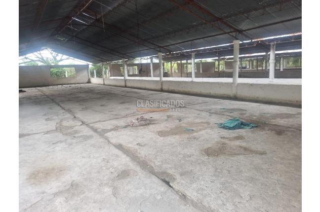 Fincas y Casas Campestres, Alquiler, Guacarí - $7.200.000