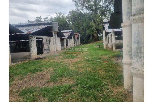 Fincas y Casas Campestres, Alquiler en Guacarí