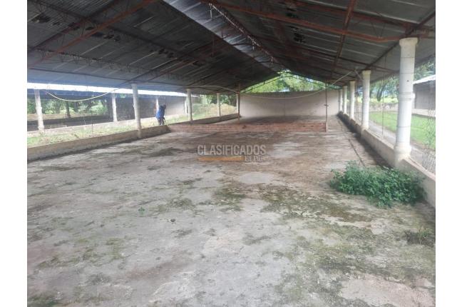 Fincas y Casas Campestres, Alquiler, Guacarí - $7.200.000