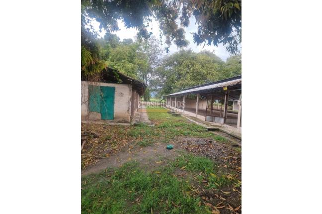 Fincas y Casas Campestres, Alquiler en Guacarí