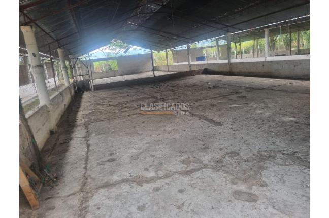 Fincas y Casas Campestres, Alquiler, Guacarí - $7.200.000