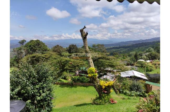 Fincas y Casas Campestres, Venta en Dapa