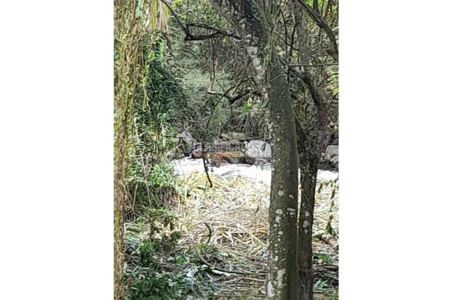 Lotes, Venta en Pance