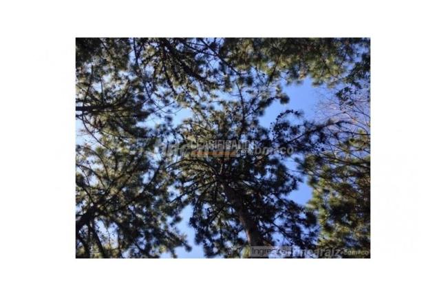 Lotes, Venta en Jamundí