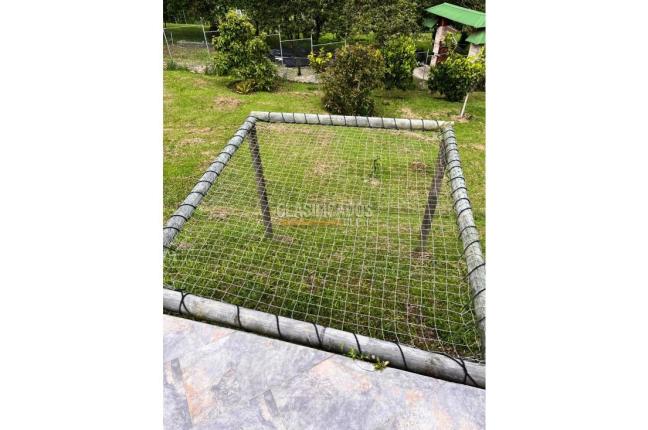 Fincas y Casas Campestres, Venta, Calima (Darién) - $590.000.000