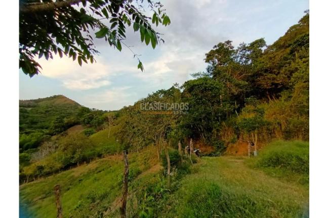 Fincas y Casas Campestres, Venta en Guacarí