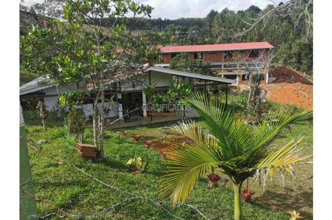 Fincas y Casas Campestres, Venta, Yotoco - $450.000.000