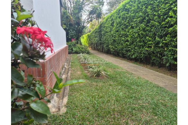 Apartamentos, Venta, Multicentro - $580.000.000