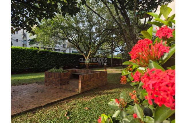 Apartamentos, Venta, Multicentro - $580.000.000