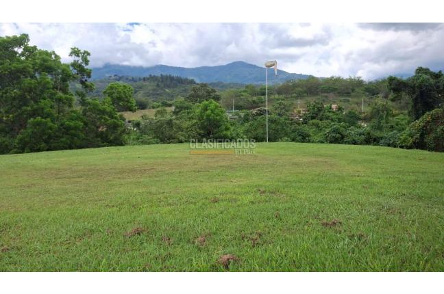 Lotes, Venta en Palmira