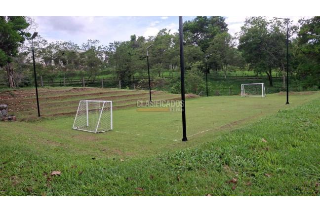 Lotes, Venta en Palmira