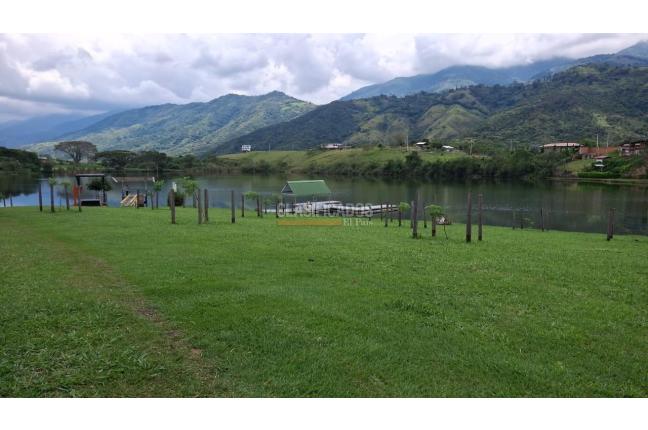 Lotes, Venta, Palmira - $650.000.000