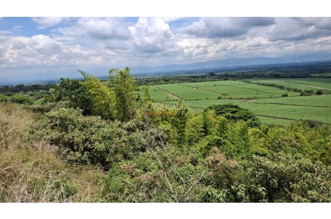 Lotes, Venta, Palmira - $650.000.000