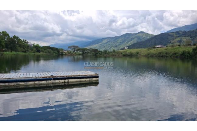 Lotes, Venta, Palmira - $650.000.000