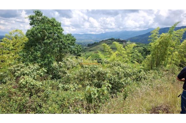 Lotes, Venta, Palmira - $650.000.000