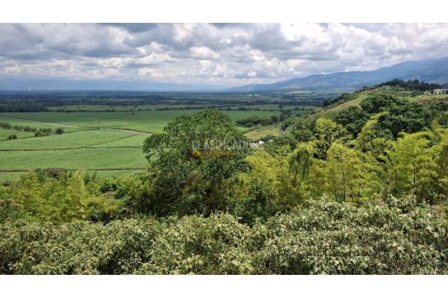 Lotes, Venta, Palmira - $650.000.000