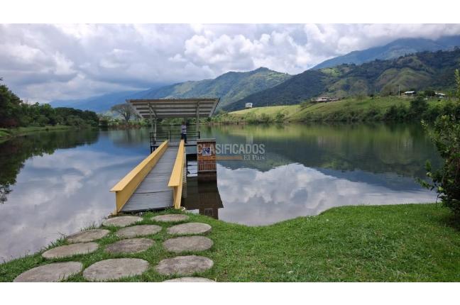 Lotes, Venta, Palmira - $650.000.000