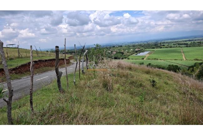 Lotes, Venta, Palmira - $650.000.000