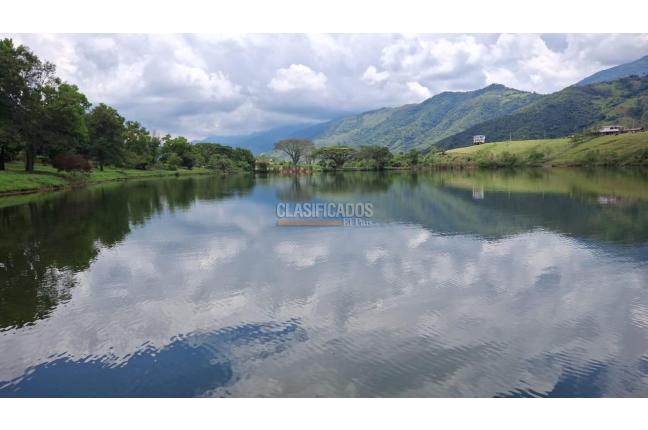 Lotes, Venta, Palmira - $650.000.000