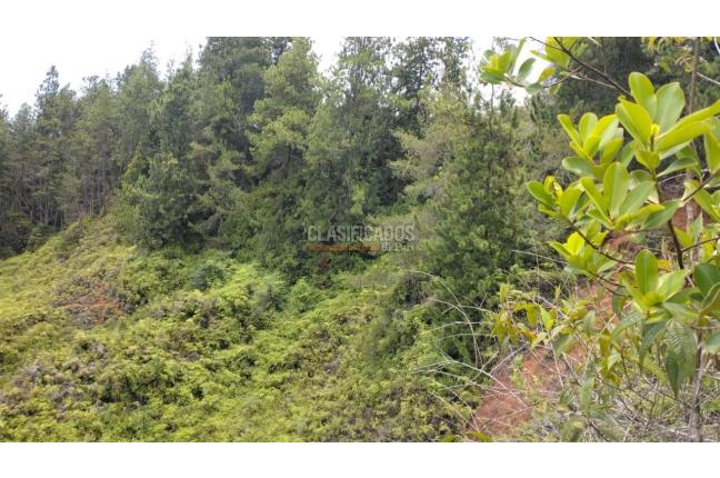 Lotes, Venta en Dagua