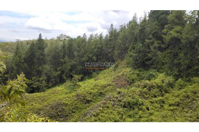 Lotes, Venta en Dagua