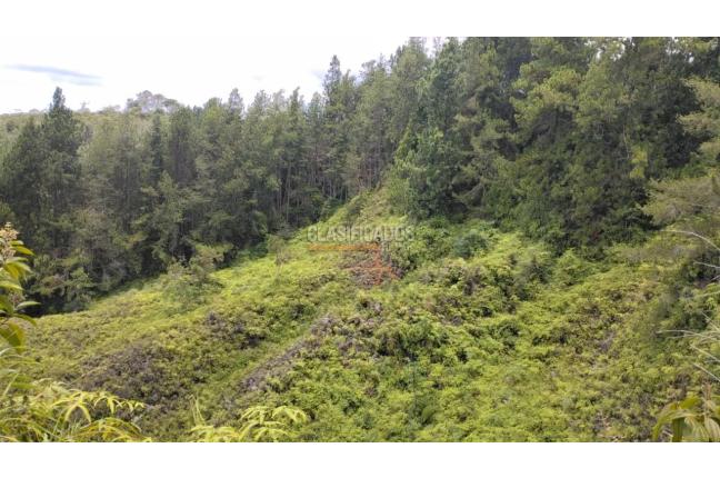 Lotes, Venta en Dagua