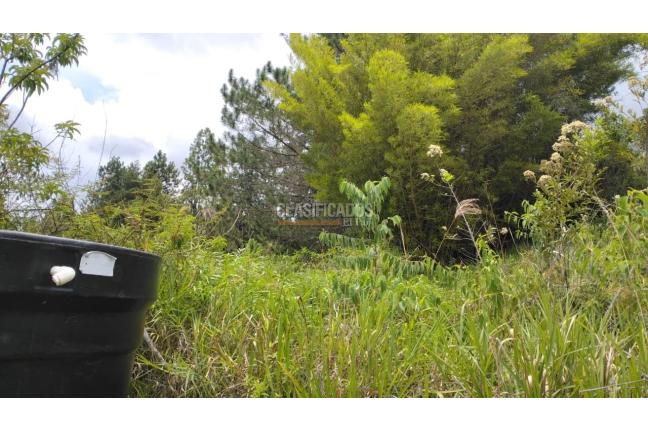 Lotes, Venta, Dagua - $150.000.000