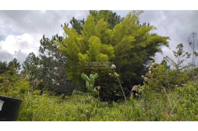 Lotes, Venta, Dagua - $150.000.000