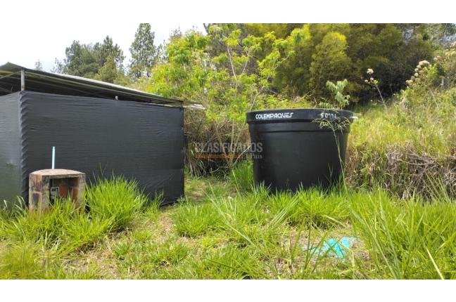 Lotes, Venta, Dagua - $150.000.000