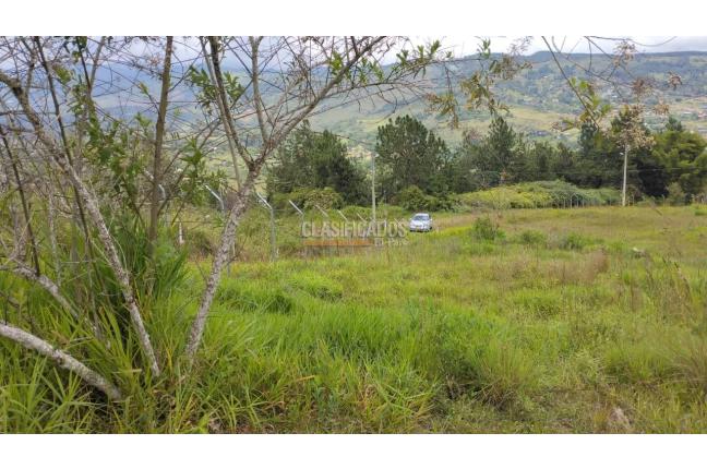 Lotes, Venta, Dagua - $150.000.000