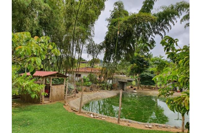 Fincas y Casas Campestres, Venta, La Cumbre - $1.600.000.000