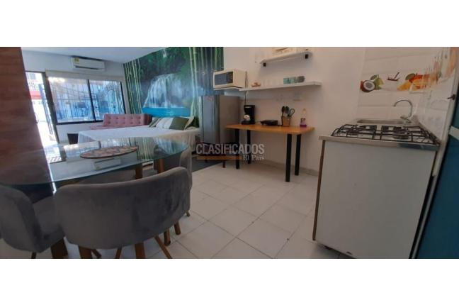 Apartaestudios, Alquiler, Santa Anita - $1.000.000