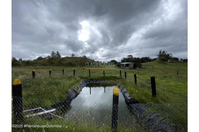 Lotes, Venta, Sutatausa - $497.000.000