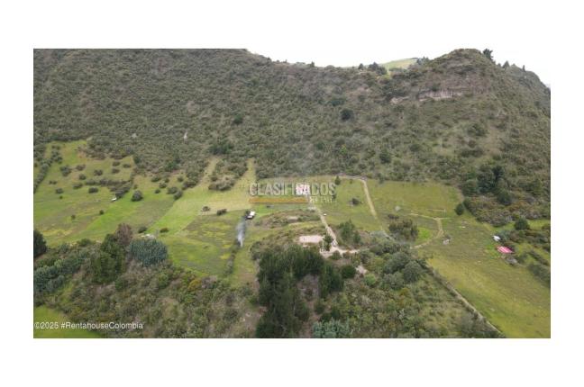 Lotes, Venta, Sutatausa - $497.000.000