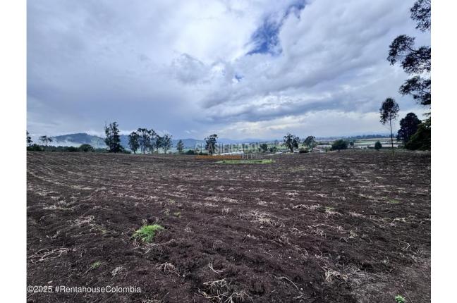 Lotes, Venta en Bojaca