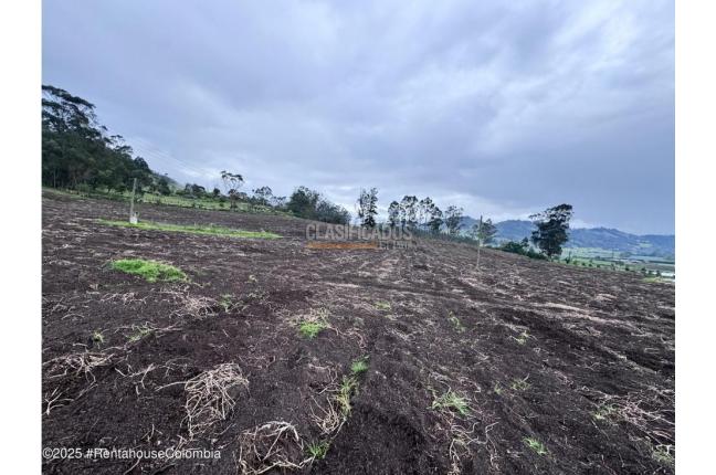 Lotes, Venta, Bojaca - $13.120.000.000