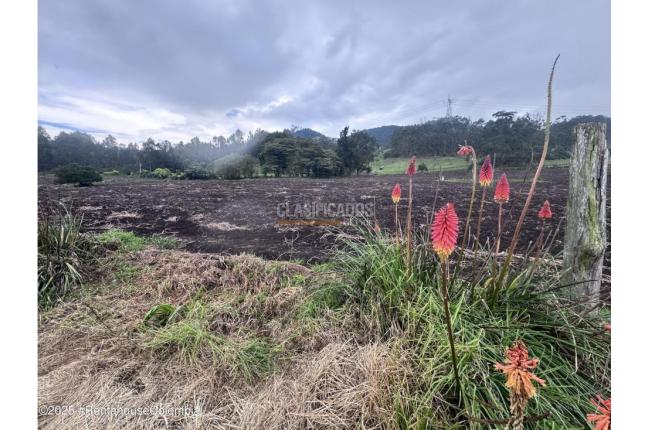 Lotes, Venta, Bojaca - $13.120.000.000