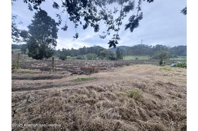 Lotes, Venta, Bojaca - $13.120.000.000