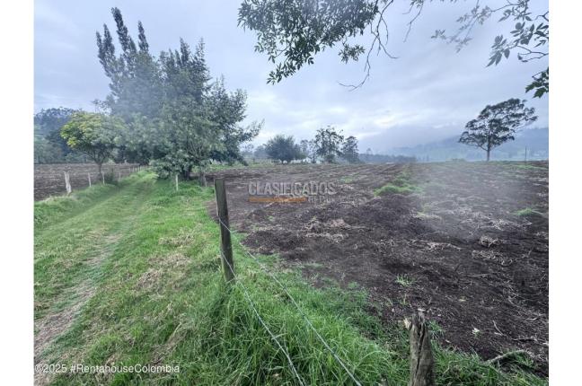 Lotes, Venta, Bojaca - $13.120.000.000