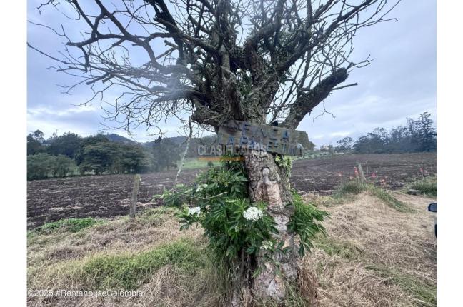 Lotes, Venta, Bojaca - $13.120.000.000