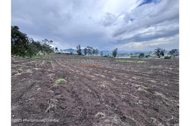 Lotes, Venta, Bojaca - $13.120.000.000