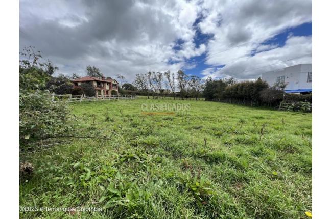 Lotes, Venta, La Calera - $290.000.000