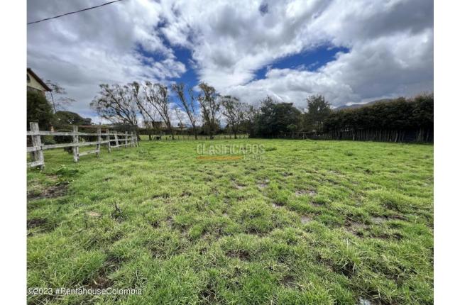 Lotes, Venta, La Calera - $290.000.000