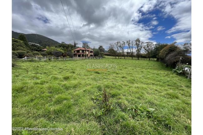 Lotes, Venta, La Calera - $290.000.000